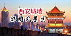 色欲avx中国陕西-西安城墙旅游风景区